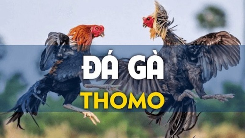 da ga thomo 678a0104ef071