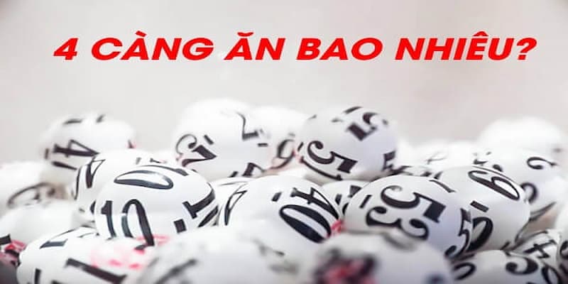 de 4 cang an bao nhieu 6789f8daa4f8a