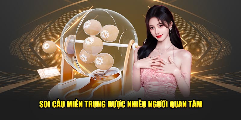 soi cau mien trung 6789265e144c2